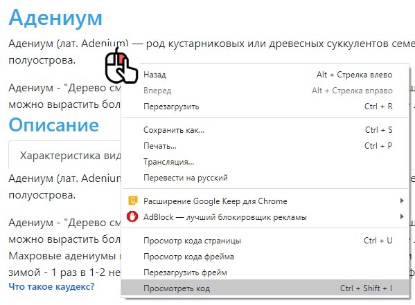 просмотр кода